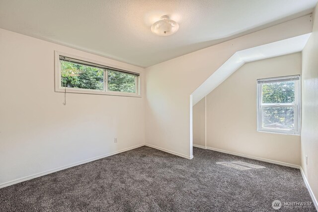 8514 13th Ave NW, Seattle, WA 98117 - photo 19