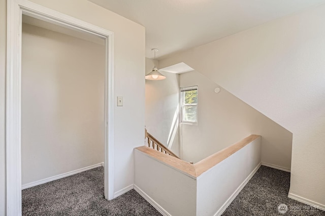 8514 13th Ave NW, Seattle, WA 98117 - photo 17