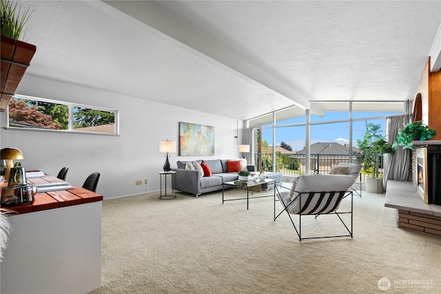 1101 Terrace Dr, Lynden, WA 98264 - carpeted living area with baseboards and a textured ceiling