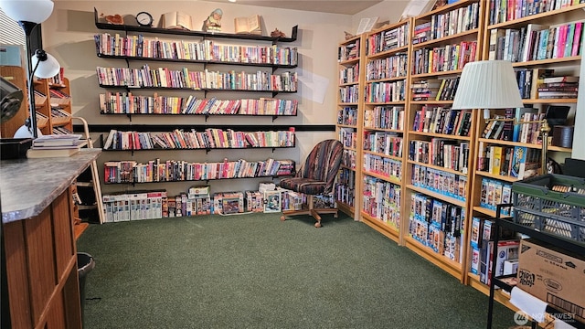 1402 22nd St NE Unit 252, Auburn, WA 98002 - living area with bookshelves and carpet floors