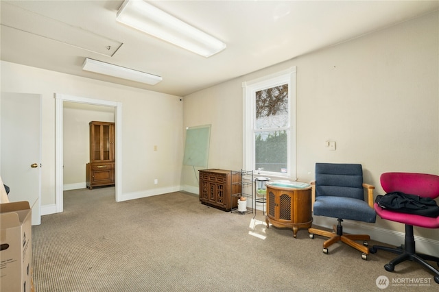 903 NW 50th St, Seattle, WA 98107 - photo 12
