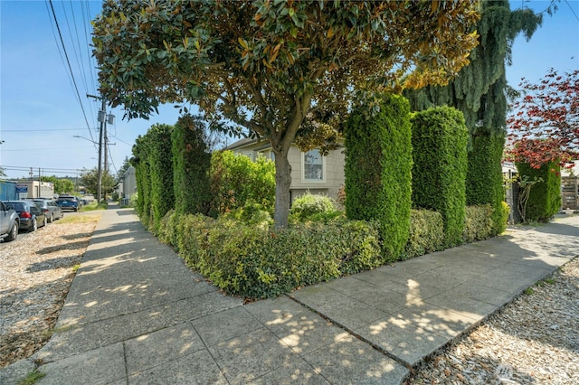903 NW 50th St, Seattle, WA 98107 - photo 37