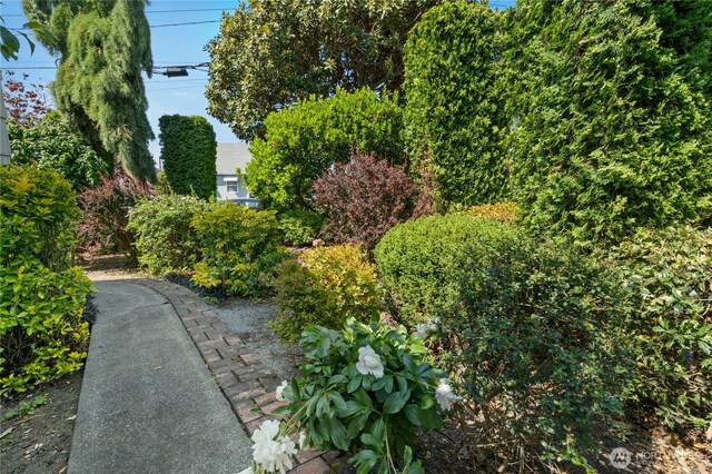 903 NW 50th St, Seattle, WA 98107 - photo 38