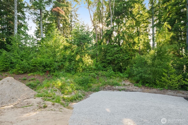 17765 25th Ave NE, Shoreline, WA 98155 - view of yard