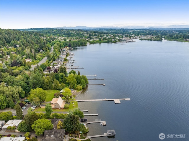 17765 25th Ave NE, Shoreline, WA 98155 - aerial view of a nearby body of water