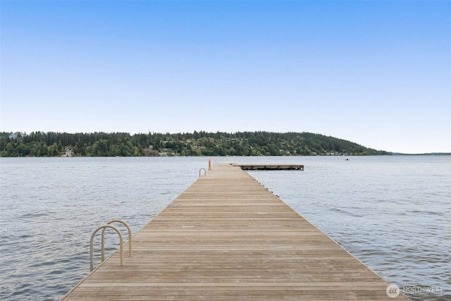 17765 25th Ave NE, Shoreline, WA 98155 - dock area featuring a water view and a view of trees