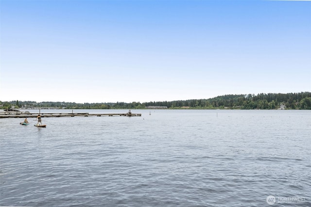 17765 25th Ave NE, Shoreline, WA 98155 - water view