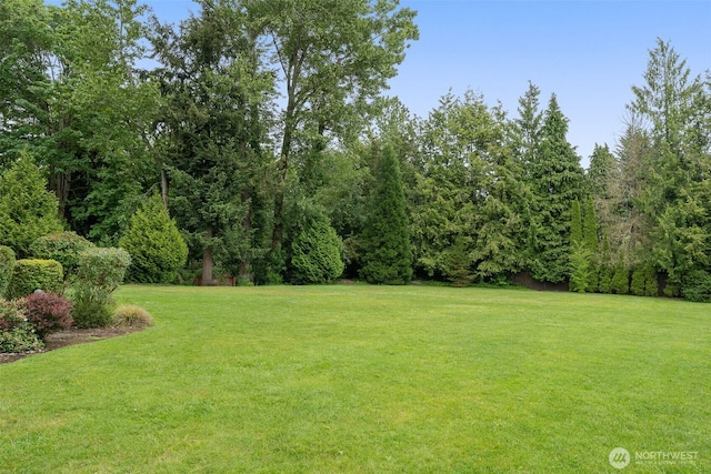 17765 25th Ave NE, Shoreline, WA 98155 - view of grassy yard