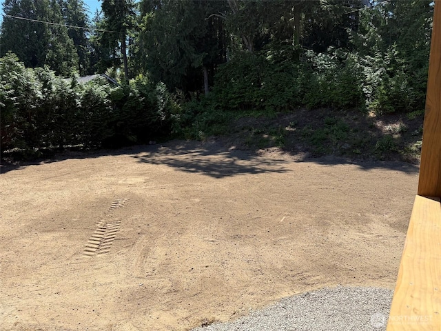 17765 25th Ave NE, Shoreline, WA 98155 - view of yard