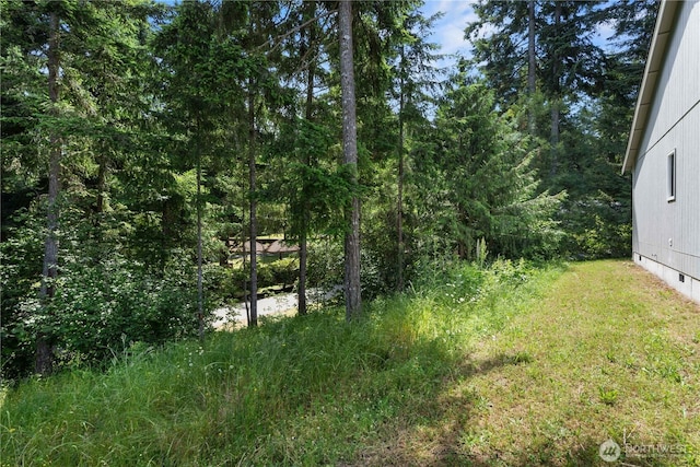 17621 Vine Ln SE, Yelm, WA 98597 - view of yard