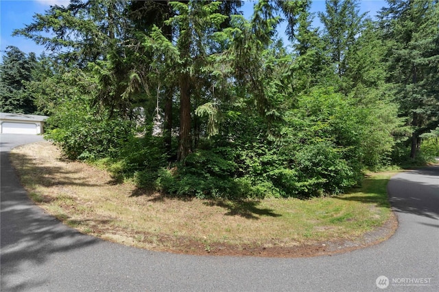 17621 Vine Ln SE, Yelm, WA 98597 - view of road