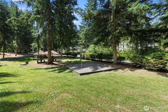 17621 Vine Ln SE, Yelm, WA 98597 - view of green lawn