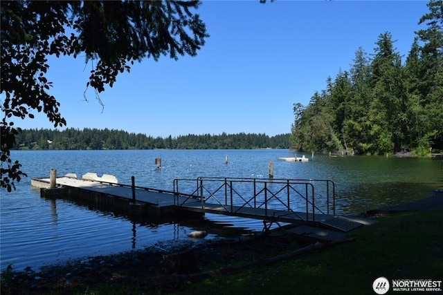 17621 Vine Ln SE, Yelm, WA 98597 - dock area featuring a forest view and a water view