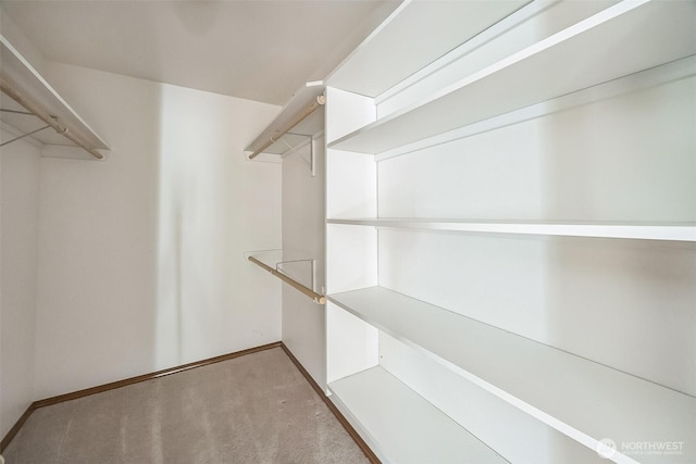 5 Bayview Ln, Hoquiam, WA 98550 - spacious closet with light carpet
