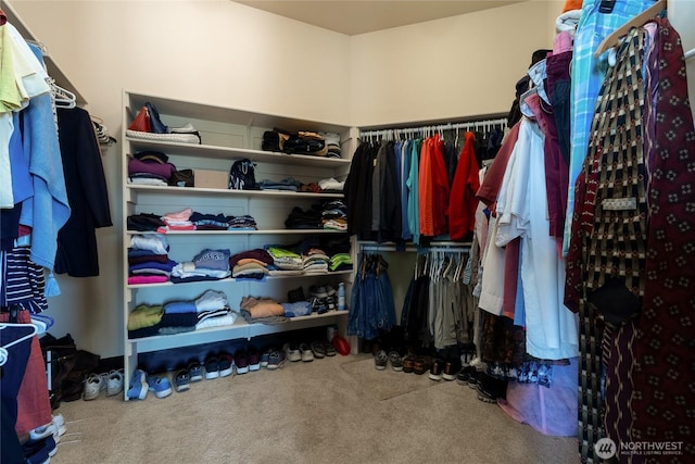 2316 Ridgeview Rd, Walla Walla, WA 99362 - spacious closet featuring carpet