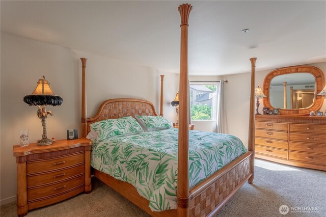 103 N Park St Unit 341, Chelan, WA 98816 - view of carpeted bedroom