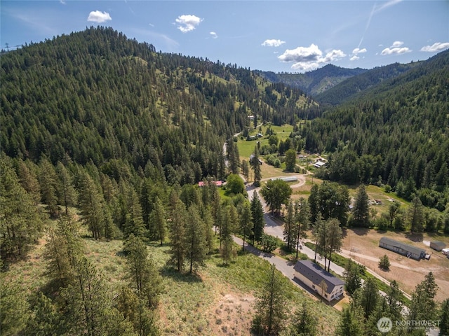 10642 Merry Canyon Rd, Leavenworth, WA 98820 - aerial view of a forest and a mountainous background