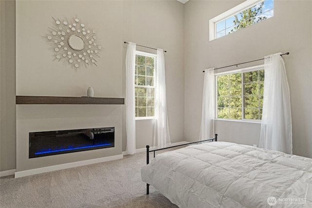 10642 Merry Canyon Rd, Leavenworth, WA 98820 - bedroom featuring multiple windows, a glass covered fireplace, carpet flooring, baseboards, and a high ceiling