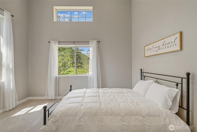 10642 Merry Canyon Rd, Leavenworth, WA 98820 - carpeted bedroom with multiple windows, baseboards, and a high ceiling