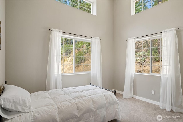 10642 Merry Canyon Rd, Leavenworth, WA 98820 - carpeted bedroom featuring a high ceiling and baseboards