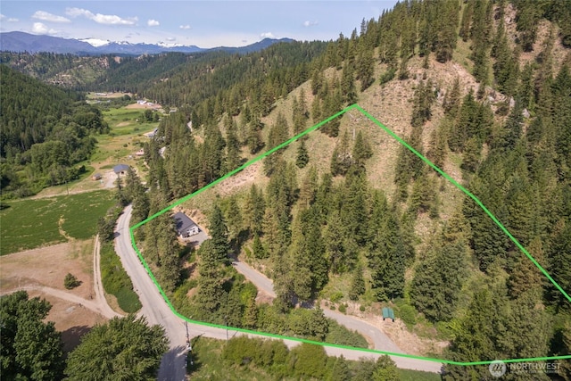 10642 Merry Canyon Rd, Leavenworth, WA 98820 - view of property location with a heavily wooded area, a mountain backdrop, and property parcel outlined