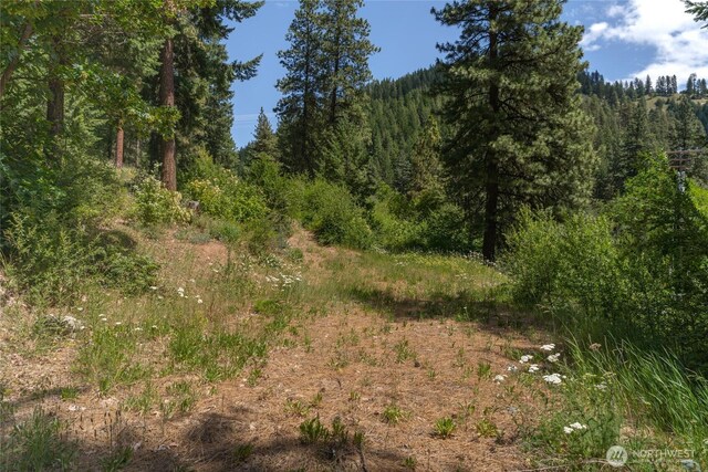 10642 Merry Canyon Rd, Leavenworth, WA 98820 - photo 34
