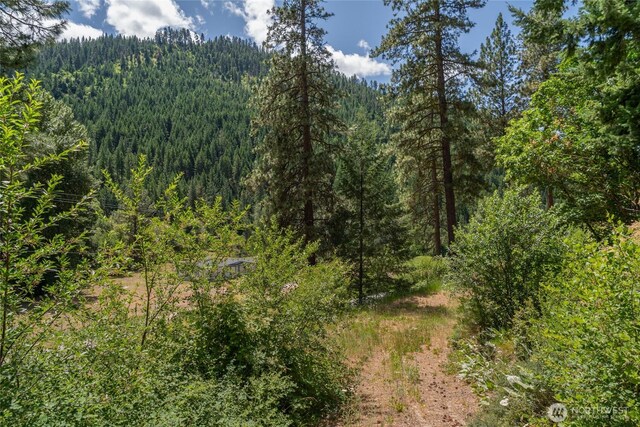 10642 Merry Canyon Rd, Leavenworth, WA 98820 - photo 38