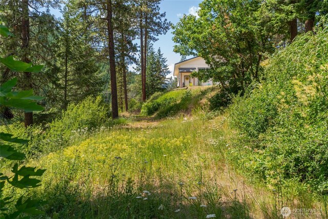 10642 Merry Canyon Rd, Leavenworth, WA 98820 - photo 40