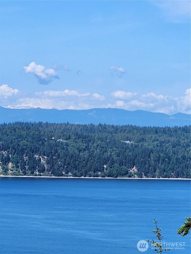 4076 S E Camano Dr, Camano Island, WA 98282 - photo 12