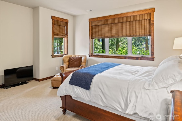 420 Black Nugget Ln, Cle Elum, WA 98922 - bedroom with carpet floors and baseboards