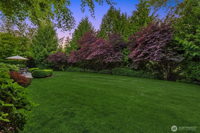 24838 NE 20th St, Sammamish, WA 98074 - photo 25