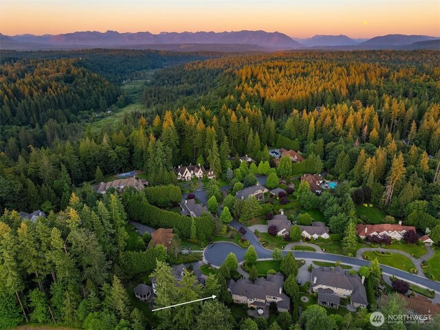 24838 NE 20th St, Sammamish, WA 98074 - photo 40