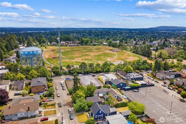 8521 Roosevelt Way NE, Seattle, WA 98115 - photo 11