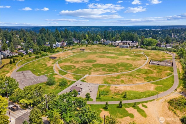 8521 Roosevelt Way NE, Seattle, WA 98115 - photo 12