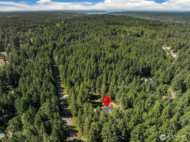 12452 Arab Ln SE, Olalla, WA 98359 - photo 32