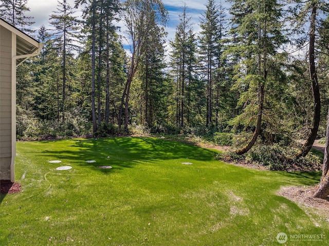 12452 Arab Ln SE, Olalla, WA 98359 - photo 28
