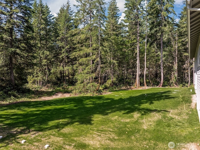 12452 Arab Ln SE, Olalla, WA 98359 - photo 31