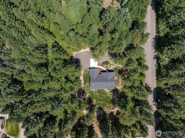12452 Arab Ln SE, Olalla, WA 98359 - photo 34