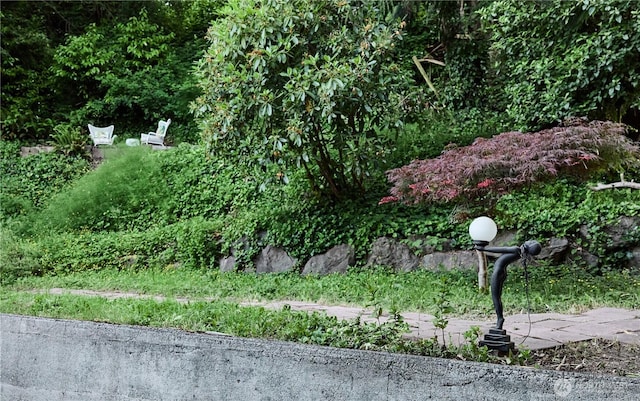 2463 74th Ave SE, Mercer Island, WA 98040 - view of yard