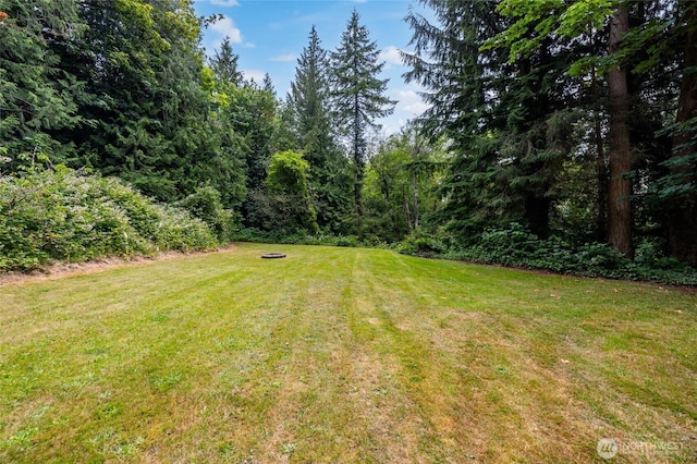 7823 Parker Rd, Sedro Woolley, WA 98284 - view of green lawn