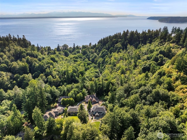 6817 Picnic Point Rd, Edmonds, WA 98026 - aerial view of a nearby body of water and a heavily wooded area