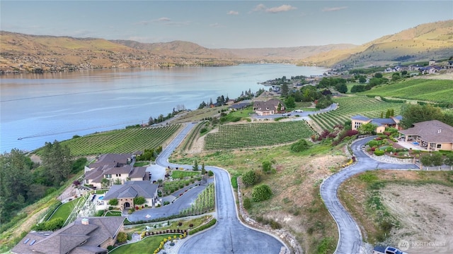 355 Karma Kanyon Dr, Chelan, WA 98816 - photo 4