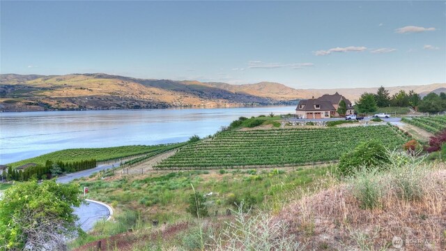 355 Karma Kanyon Dr, Chelan, WA 98816 - photo 20
