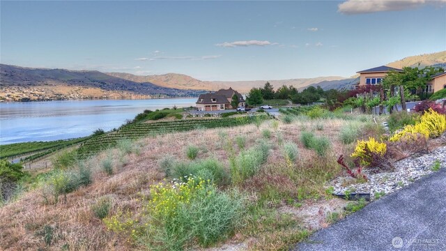 355 Karma Kanyon Dr, Chelan, WA 98816 - photo 22