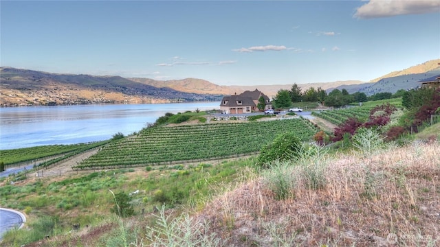 355 Karma Kanyon Dr, Chelan, WA 98816 - photo 25