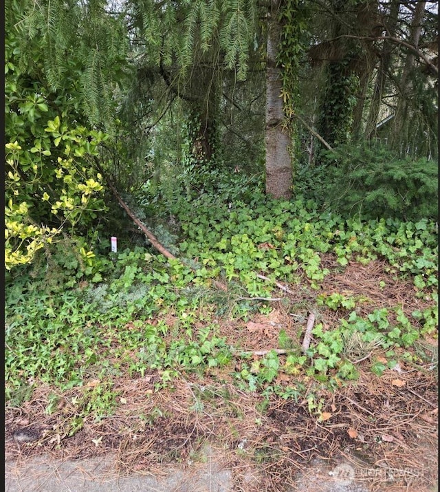 4684 152nd Pl SE, Bellevue, WA 98006