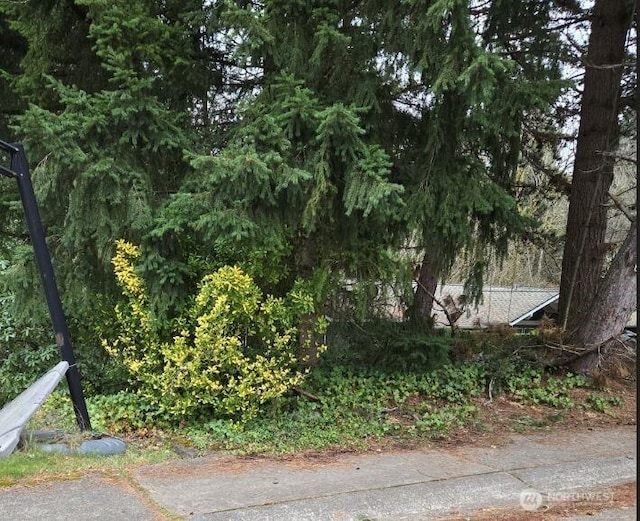 4684 152nd Pl SE, Bellevue, WA 98006