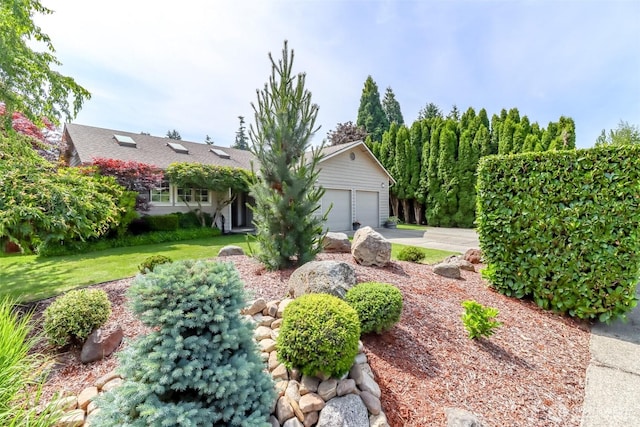 6002 35th Way SE, Auburn, WA 98092 - view of green lawn featuring driveway