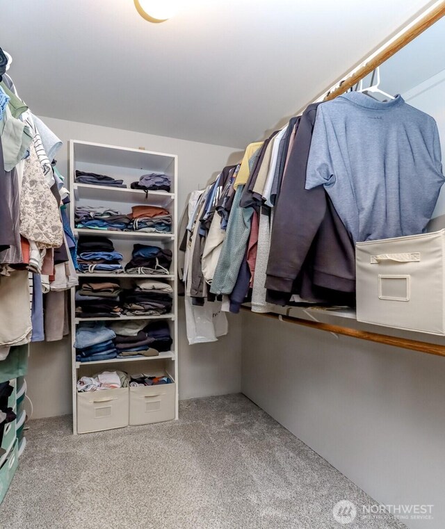 6002 35th Way SE, Auburn, WA 98092 - walk in closet with carpet floors