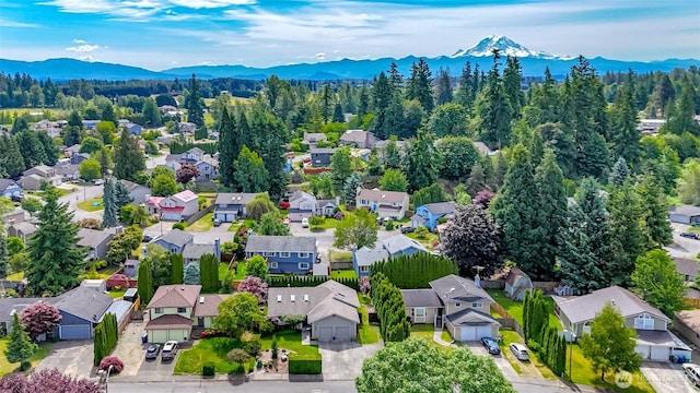 6002 35th Way SE, Auburn, WA 98092 - aerial view of residential area featuring a mountain backdrop